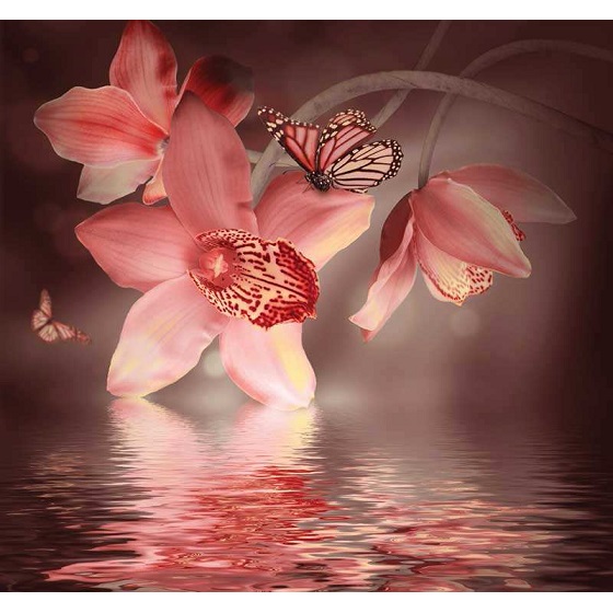 Gėlės su drugeliais ER-071