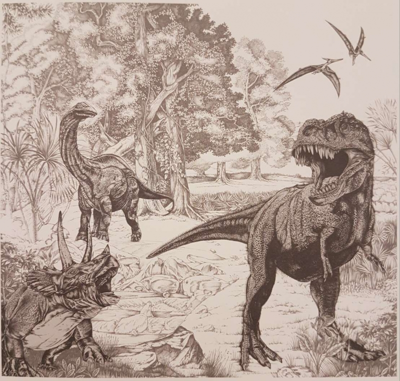 111396 Dino Sketch Fototapetas