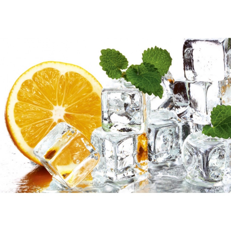 MS-5-0238 Citrina ir ledas