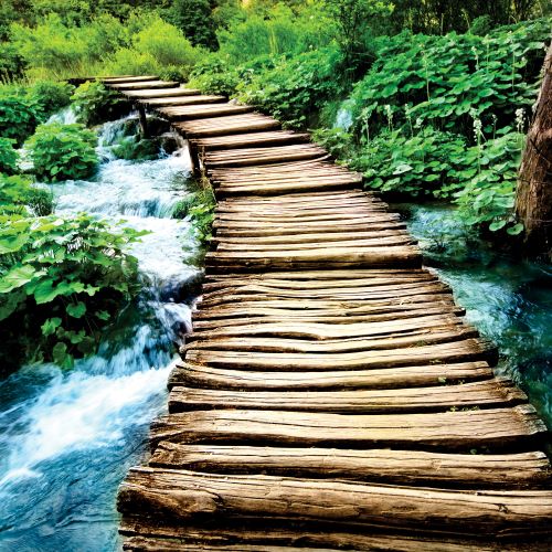 FL-002 Medinis pėsčiųjų tiltas