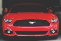 Mustangas