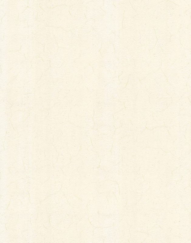 09-18004-51 Hrizantemi fon Tapete