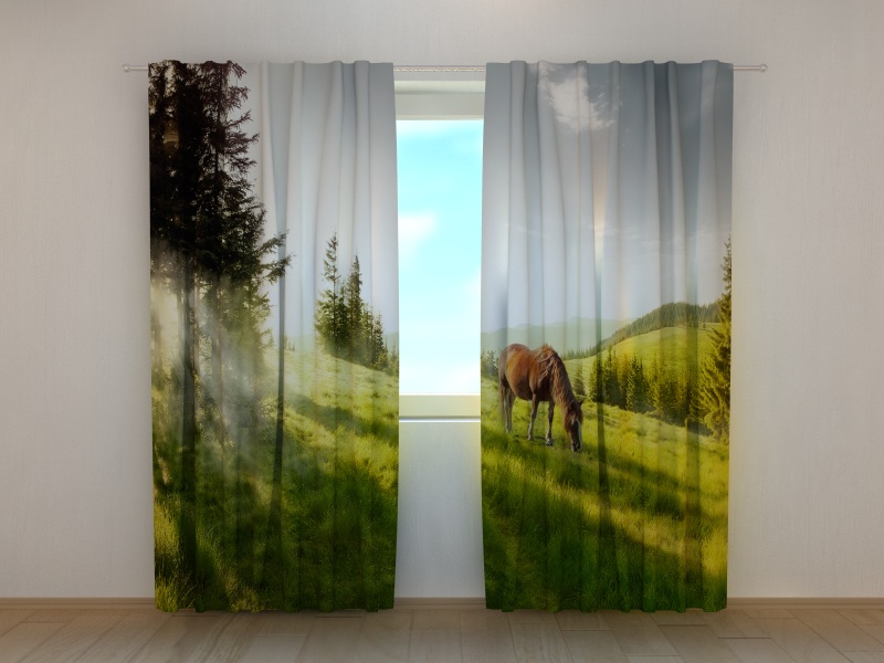 Užuolaidos Vieną rytą