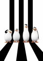 Madagaskaro pingvinai