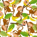 Beždžionės