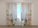 Photo curtains Cream Roses
