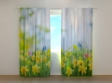 Photo curtains Yellow Daffodils