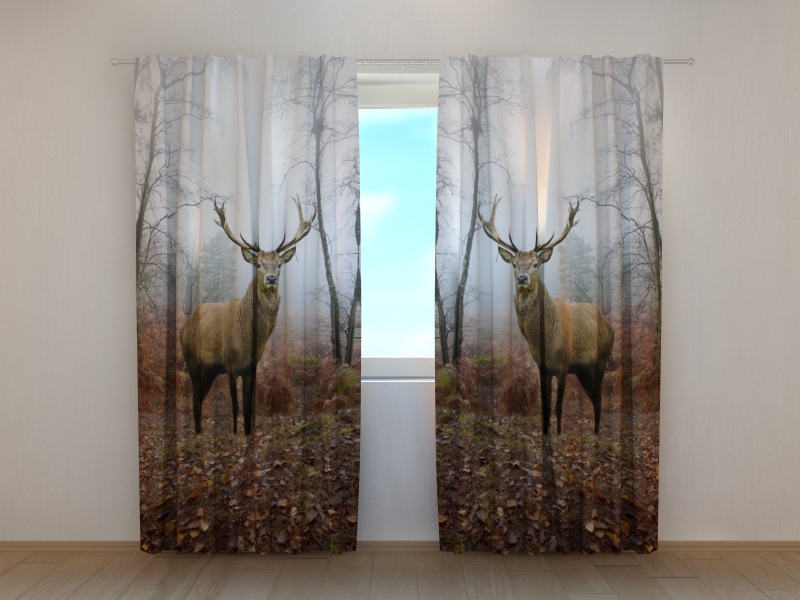 Photo curtains Deer in the Forest