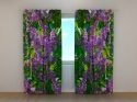 Photo curtains Lilac 1