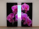 Photo curtains Orchid Twig