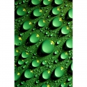 Žalieji burbuliukai