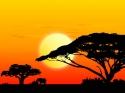 Afrikos saulėlydis 
