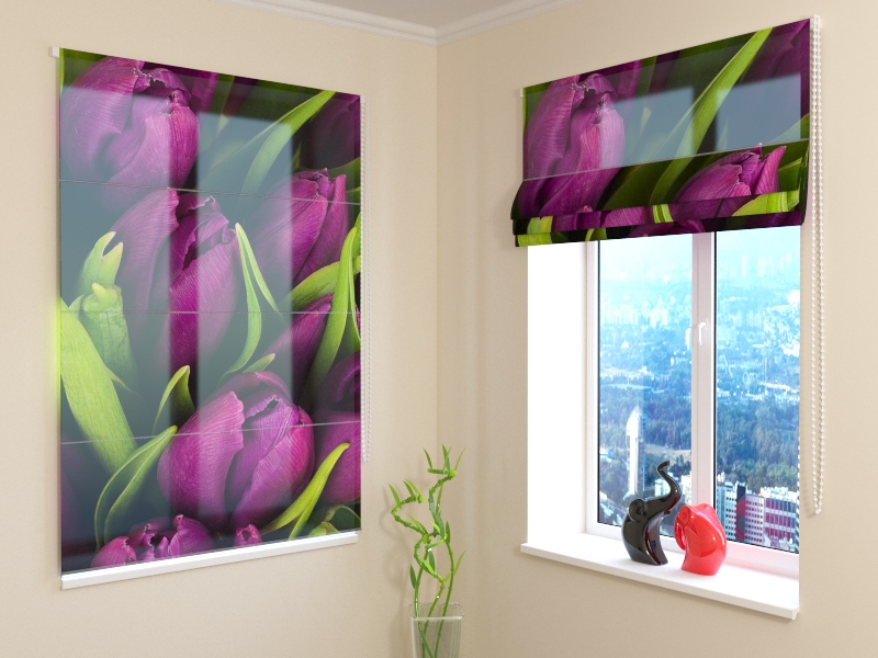 Roman Blind Violet Tulips