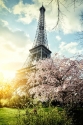 Pavasaris Paryžiuje 