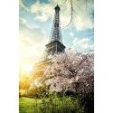 Pavasarį Paryžiuje