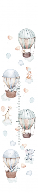 45867 Sieninė plokštė stadiometras