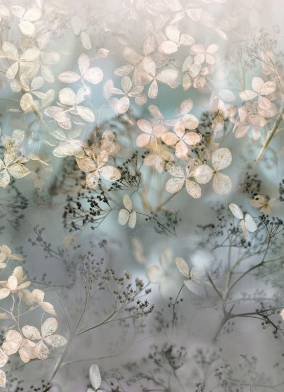 2236-25 Skaitmeninė sienų danga 