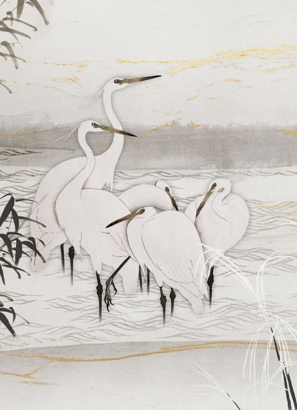 2244-15 Skaitmeninė sienų danga 