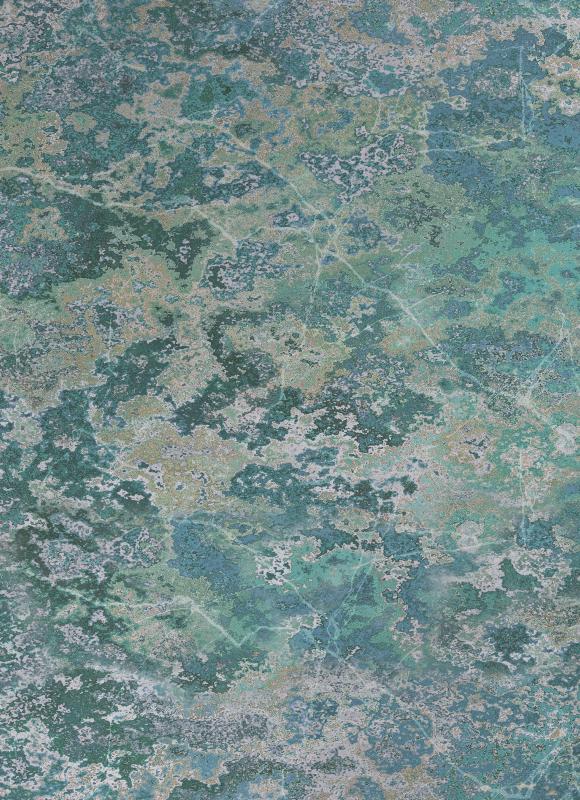 2248-30 Skaitmeninė sienų danga 