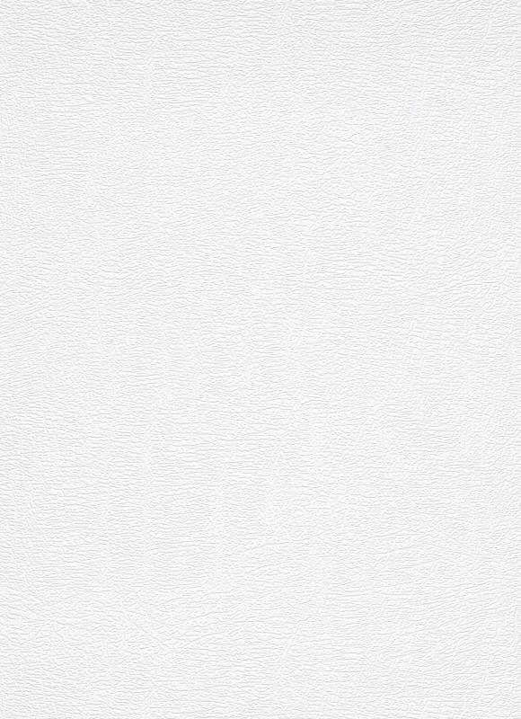 11007-01 / 11007-10 Wallpaper