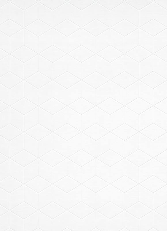 11008-01 / 11008-10 Tapetai