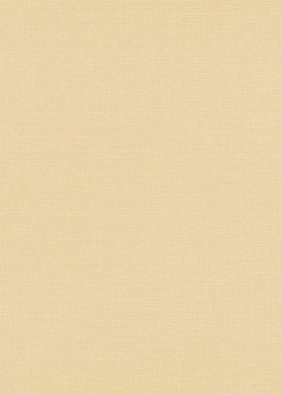 10262-02 / 12143-02 Tapetai