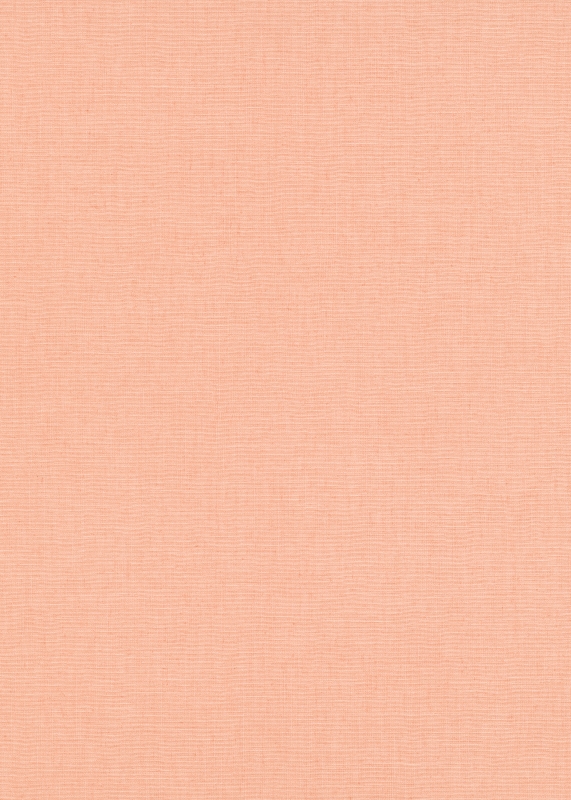 10262-23 / 12143-23 Tapetai