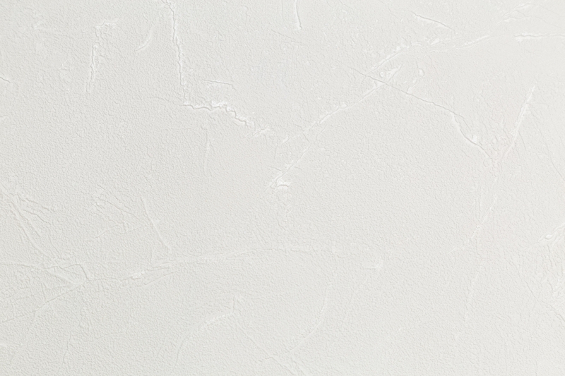 PL 72010-11 Wallpaper