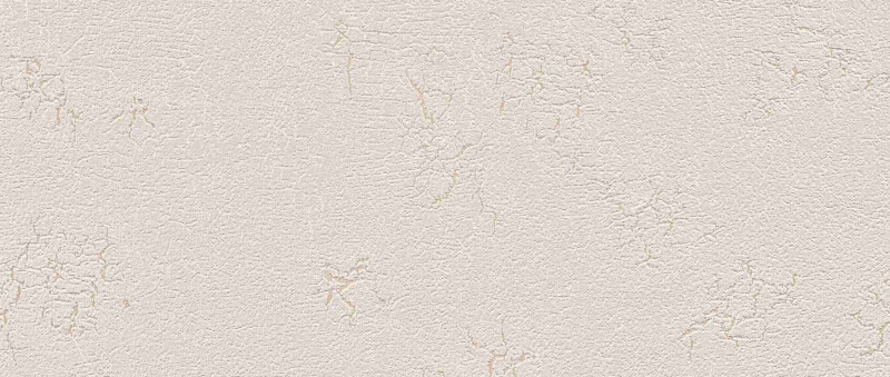 OF11-11-113-03 Tapetai