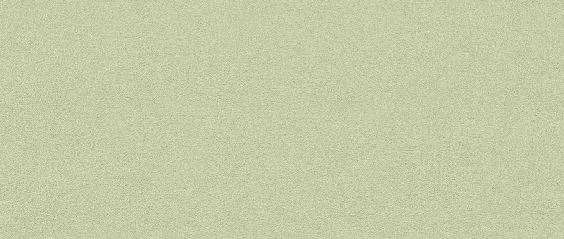 TF-11-300-03 Tapetai