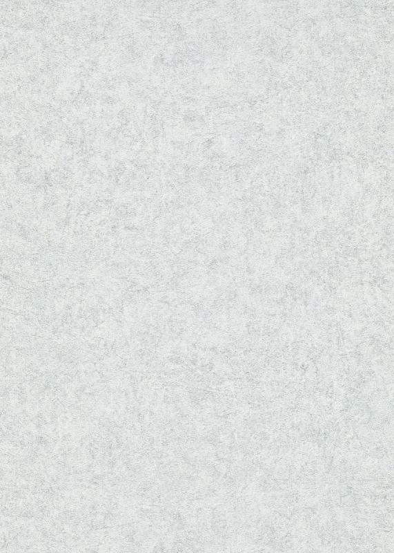 10377-31 12187-31 Tapetai