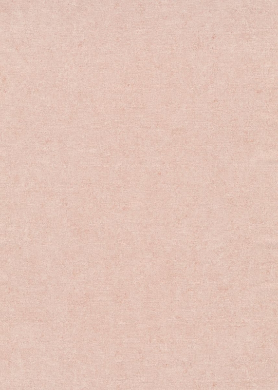 10430-23 / 12207-23 Tapetai