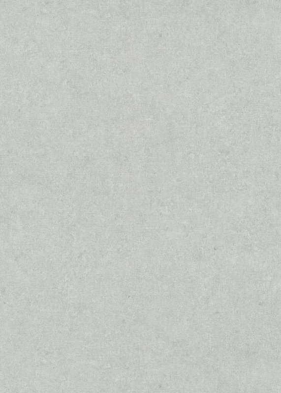 10430-24 / 12207-24 Tapetai