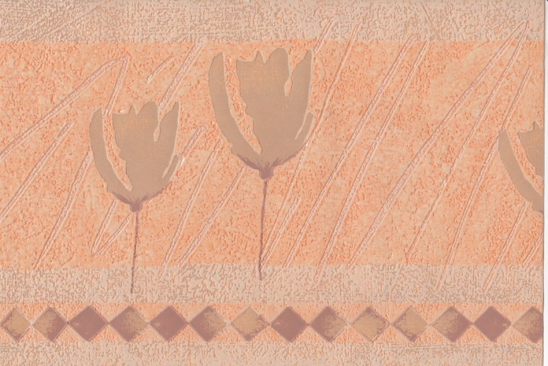 582024 Decorative wallpaper border