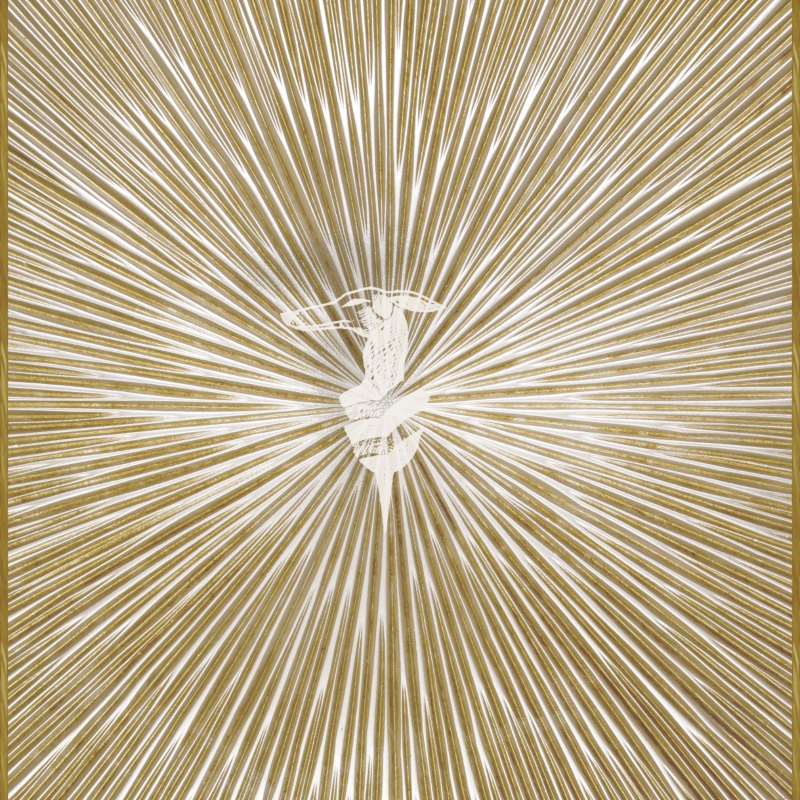 Z30355 Raggi Levriero Цифровая декоративная панель