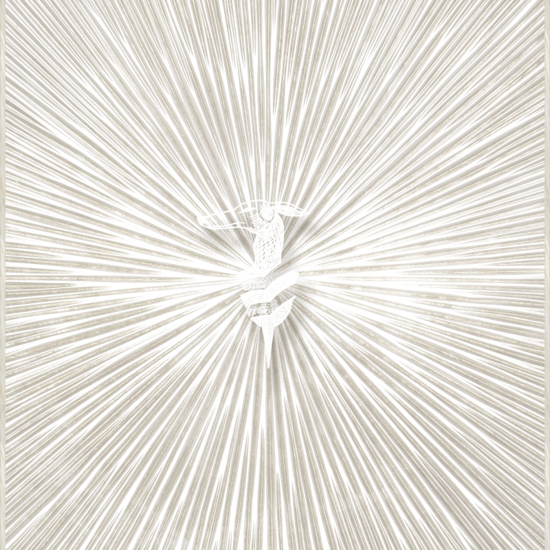 Z30356 Raggi Levriero Digital Decorative Panels