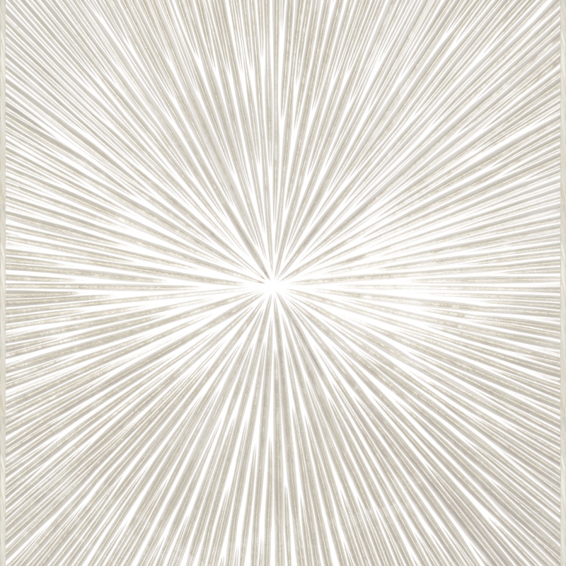 Z30359 Raggi Cornice Цифровая декоративная панель