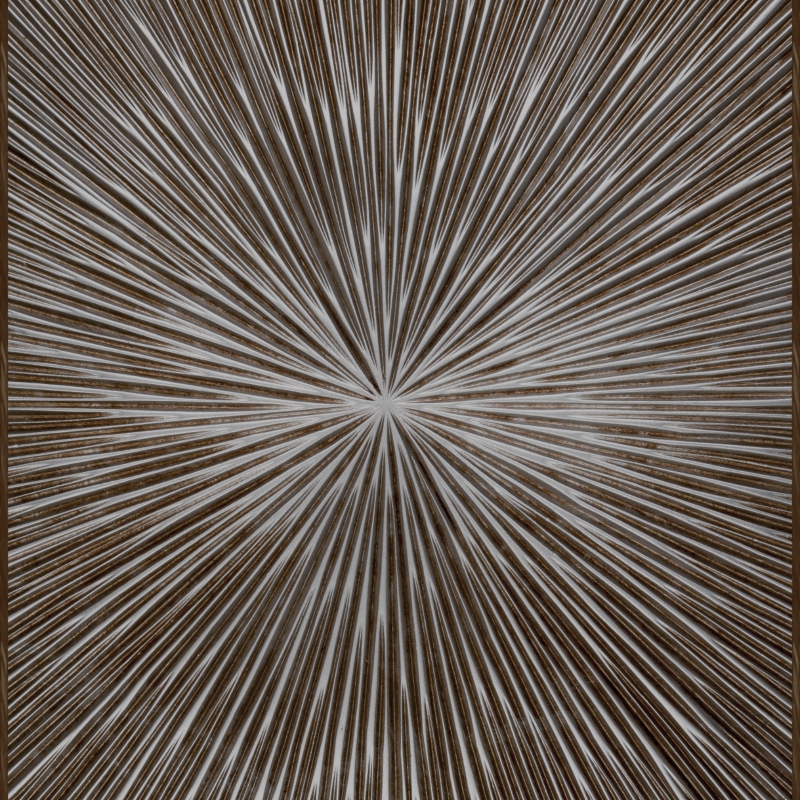 Z30360 Raggi Cornice Цифровая декоративная панель